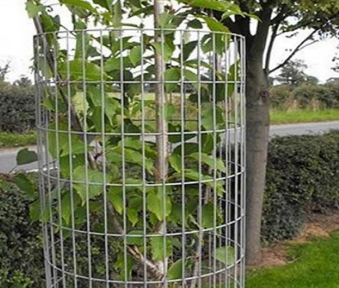 garden fence panels