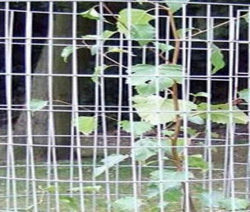 wire for garden