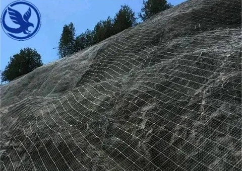 Active slope protection net