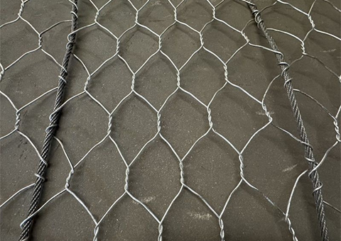 Slope Protection Mesh