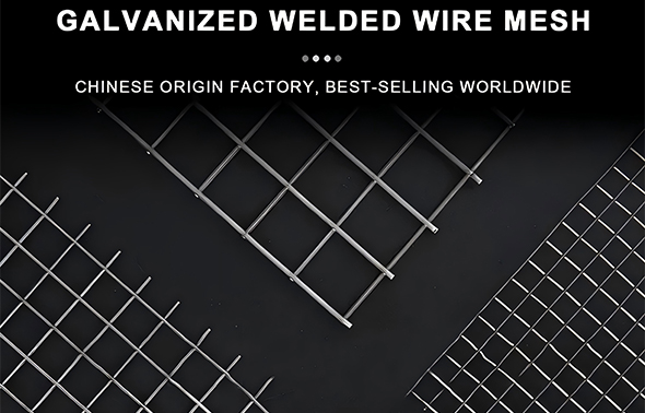 Welded Wire Mesh