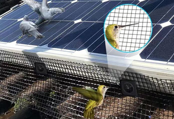 Bird protection for solar panels: key measures to ensure system efficiency and lifespan