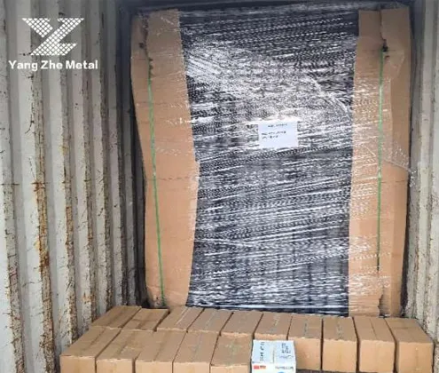 chain link fence in china