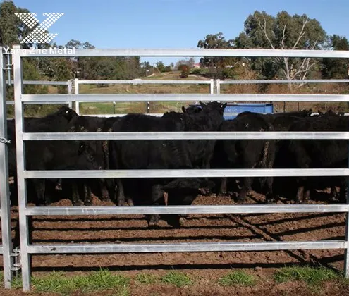 cattle panels for sale