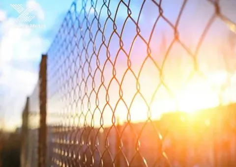 Chain Link Fence