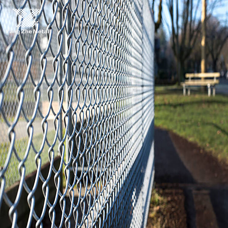 chain-link-fence.jpg chain-link-fence.jpg